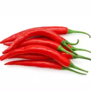 Перец чили