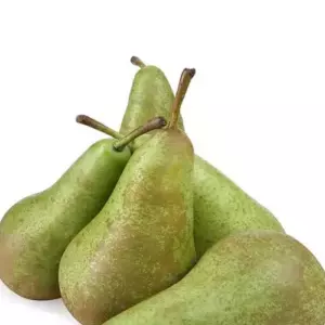 Груша
