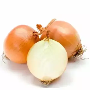 Лук репчатый